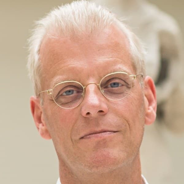 Prof Jacques Bergman
