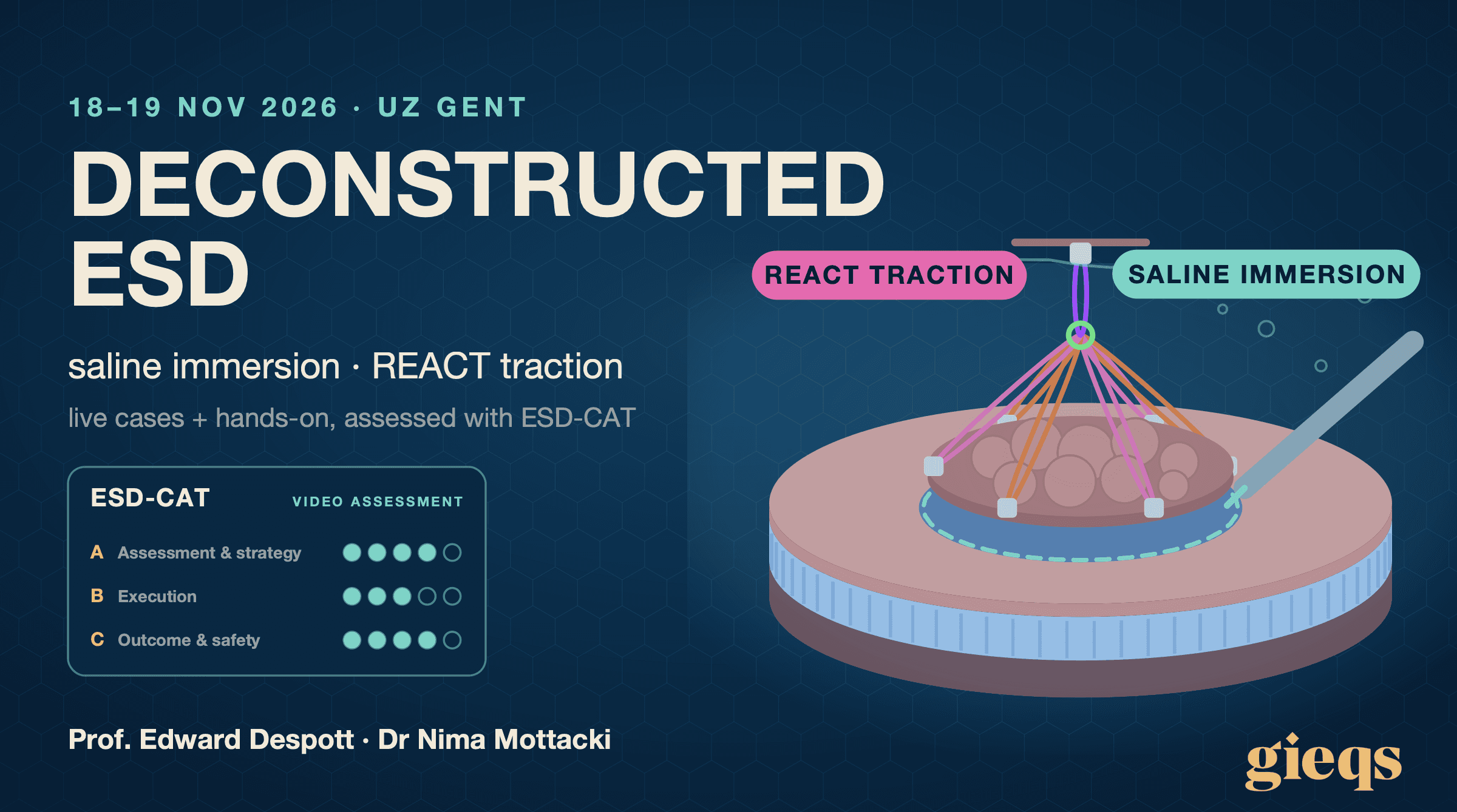 Deconstructed ESD — Day 2, Upper GI