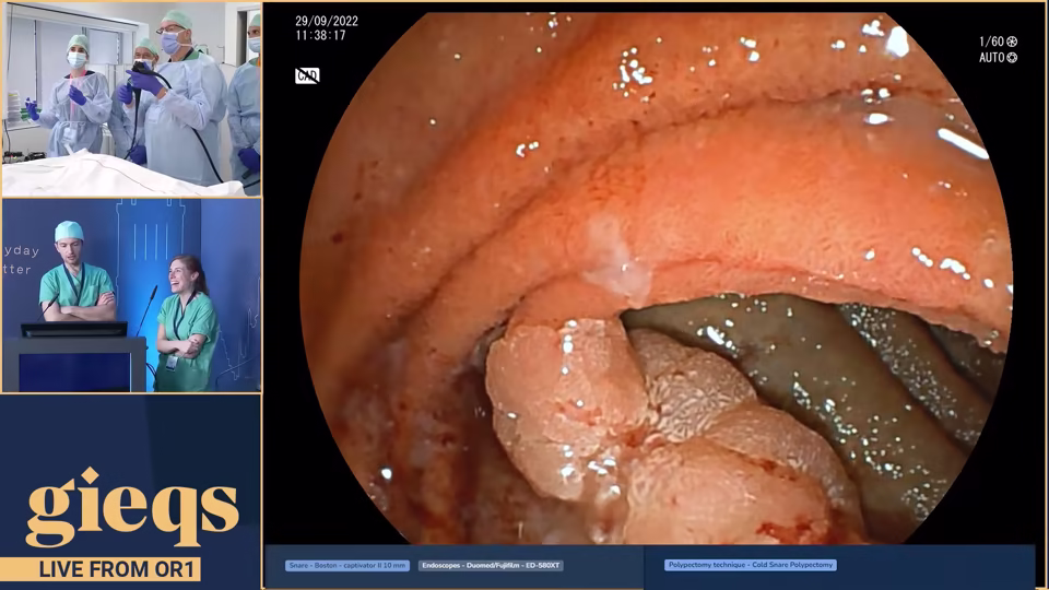 GIEQs III – A symposium focussed on Everyday Endoscopy